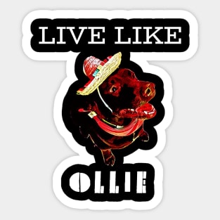 Live Like Ollie Sticker